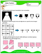 Zeka Gelişim Testleri